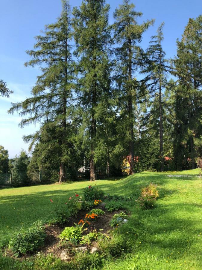Vila Horec, Vysne Hagy Vysoké Tatry 外观 照片