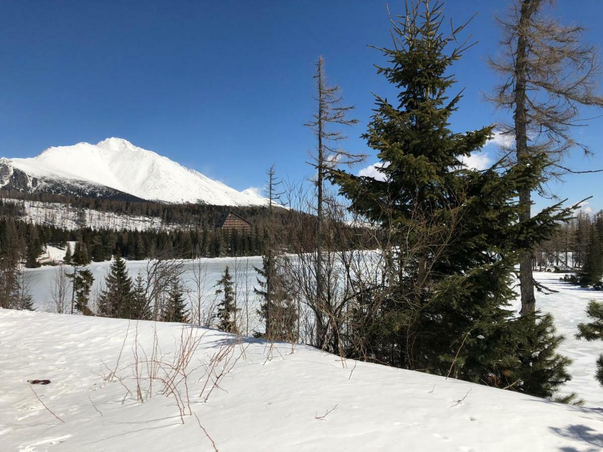Vila Horec, Vysne Hagy Vysoké Tatry 外观 照片