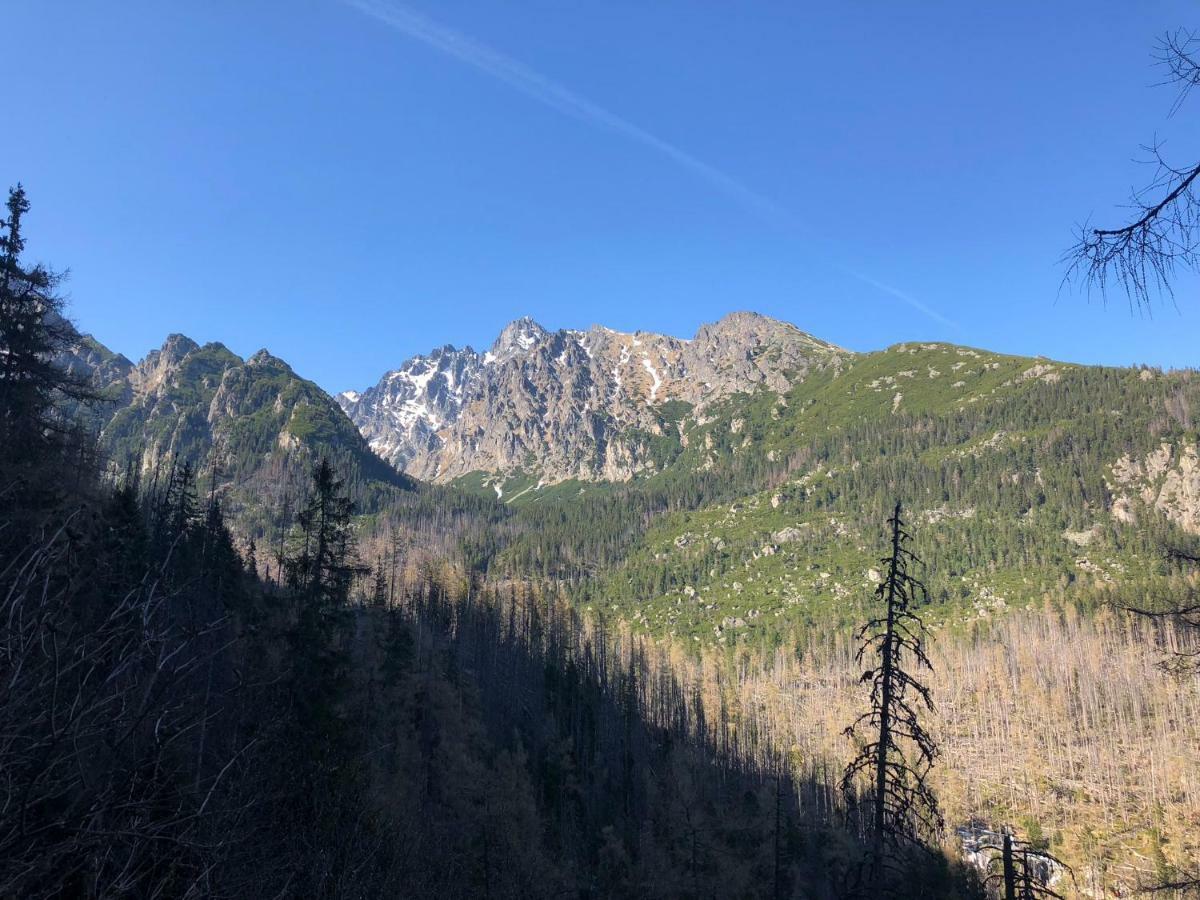 Vila Horec, Vysne Hagy Vysoké Tatry 外观 照片