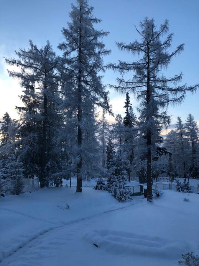 Vila Horec, Vysne Hagy Vysoké Tatry 外观 照片
